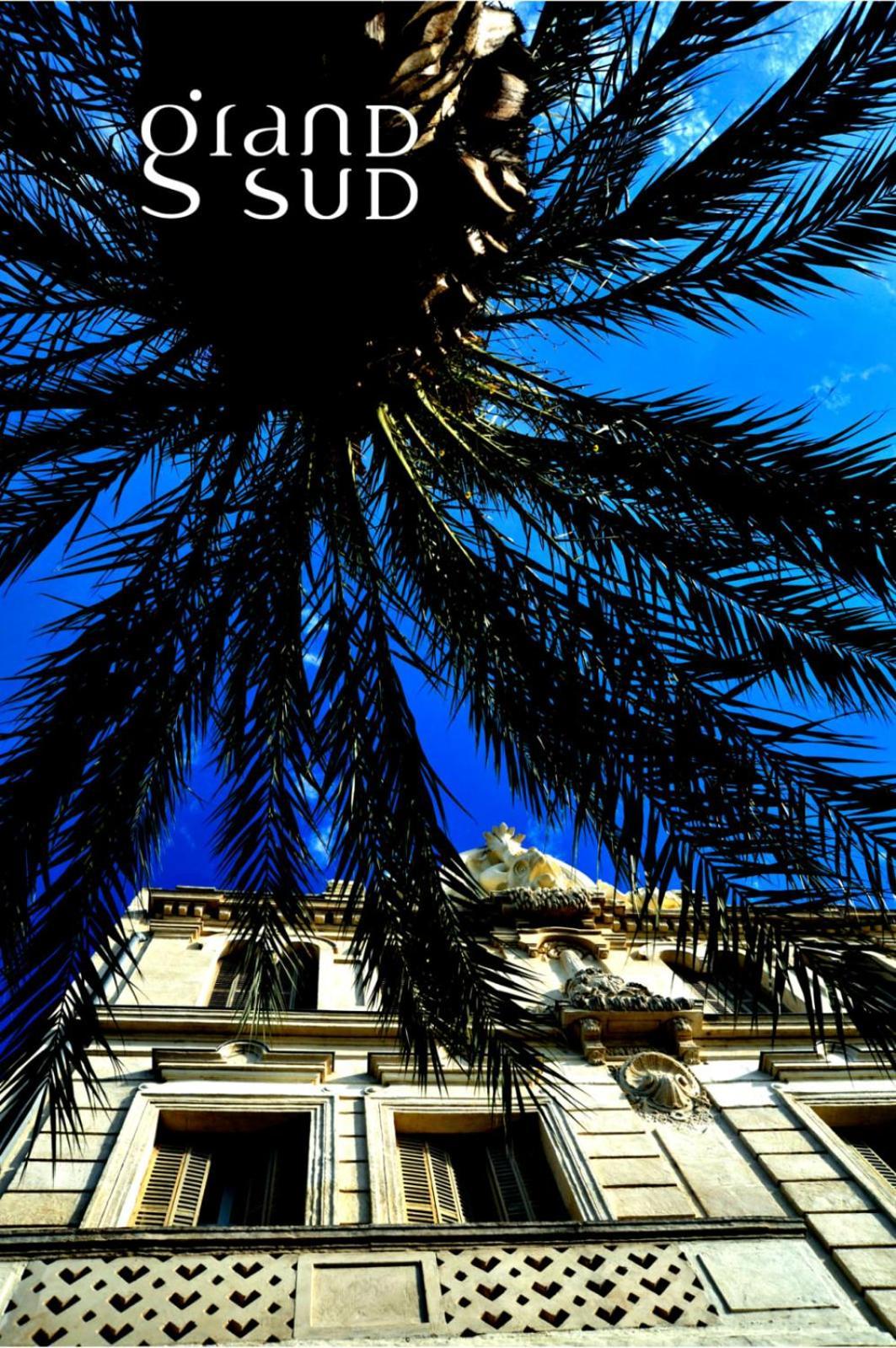 Les Aigrettes - Studio Proche De La Plage Le Grau-du-Roi Exterior photo